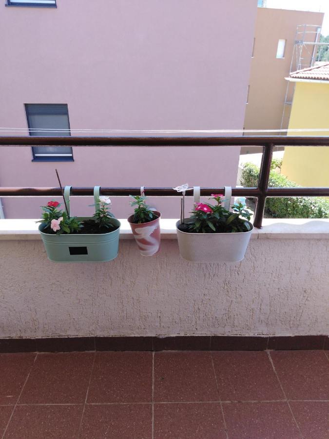 Luciana Apartment Zadar Exterior photo